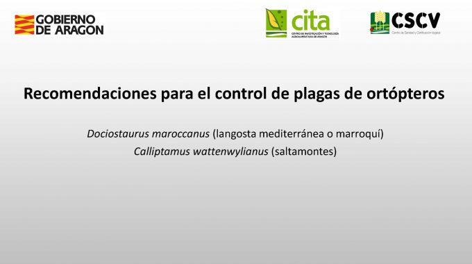 Recomendaciones Para El Control De Plagas De Ortópteros